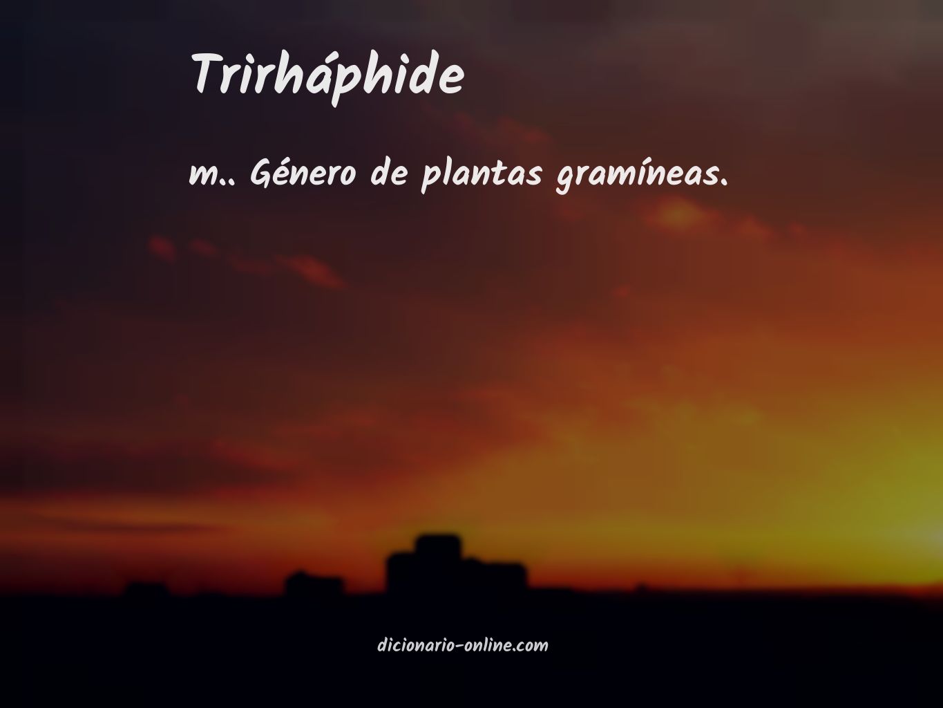 Significado de trirháphide