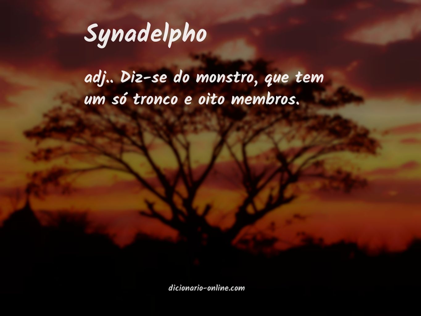 Significado de synadelpho