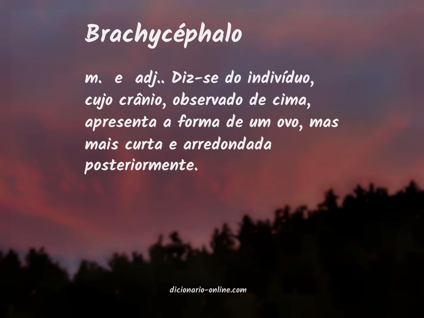Significado de brachycéphalo