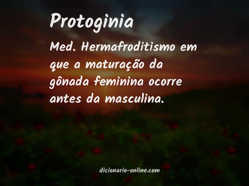 Significado de protoginia