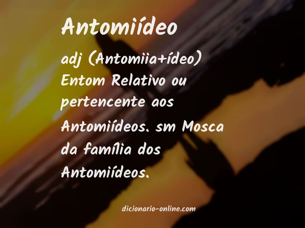 Significado de antomiídeo