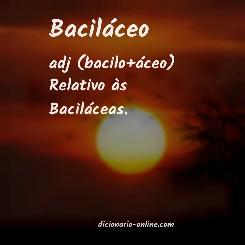 Significado de baciláceo
