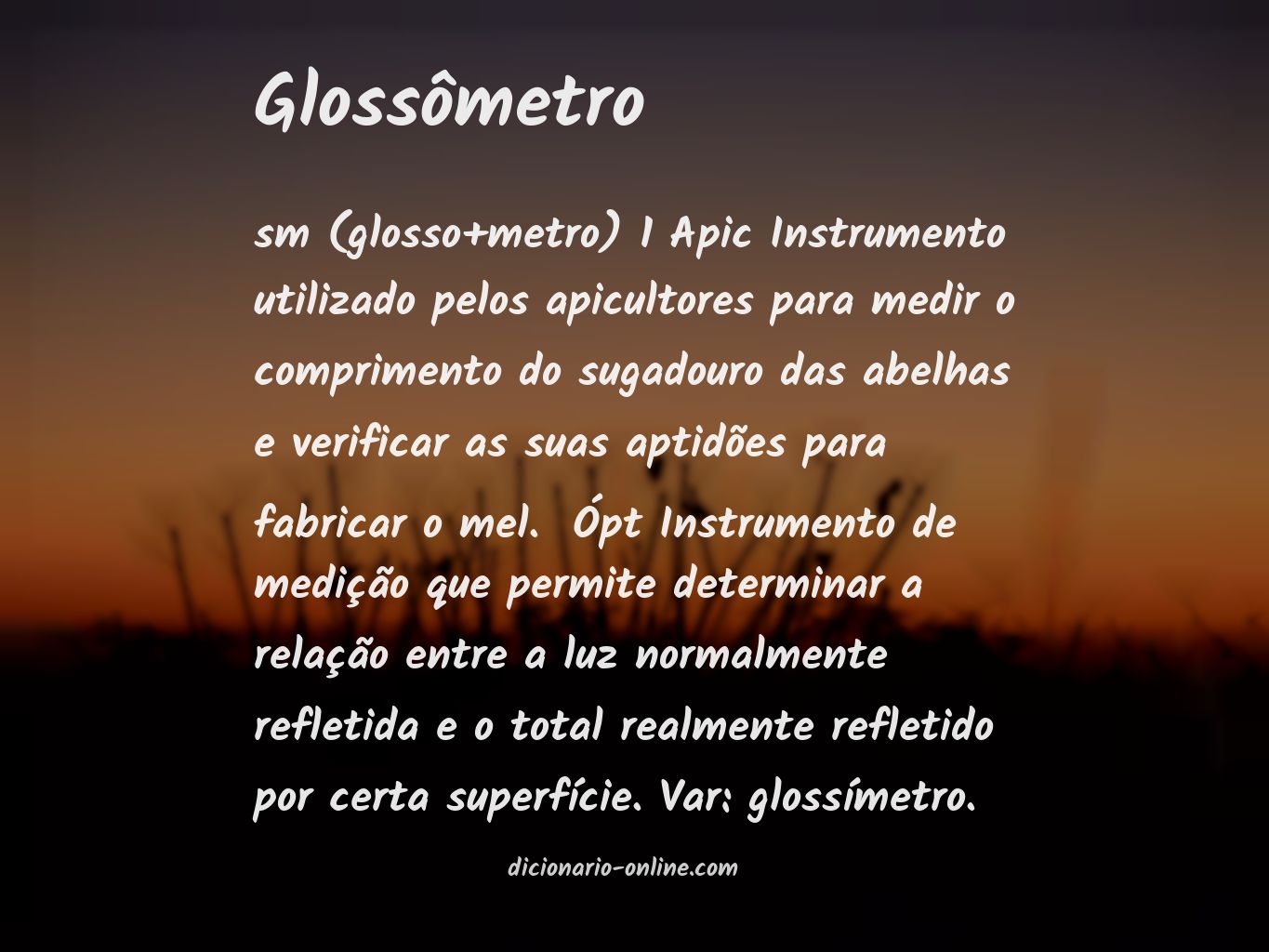 Significado de glossômetro