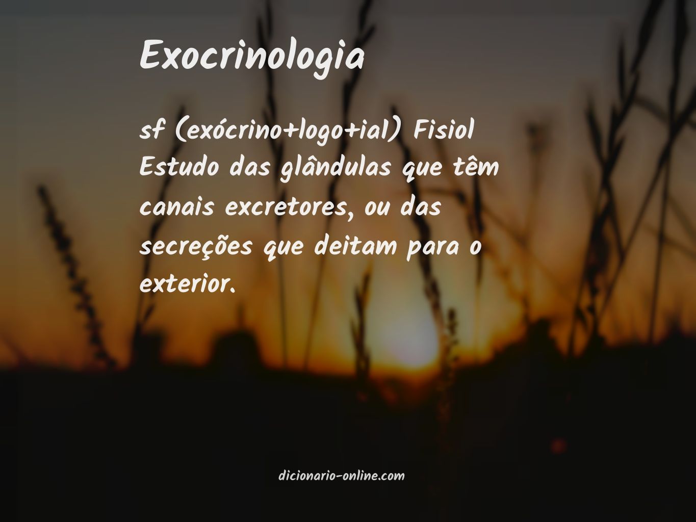 Significado de exocrinologia