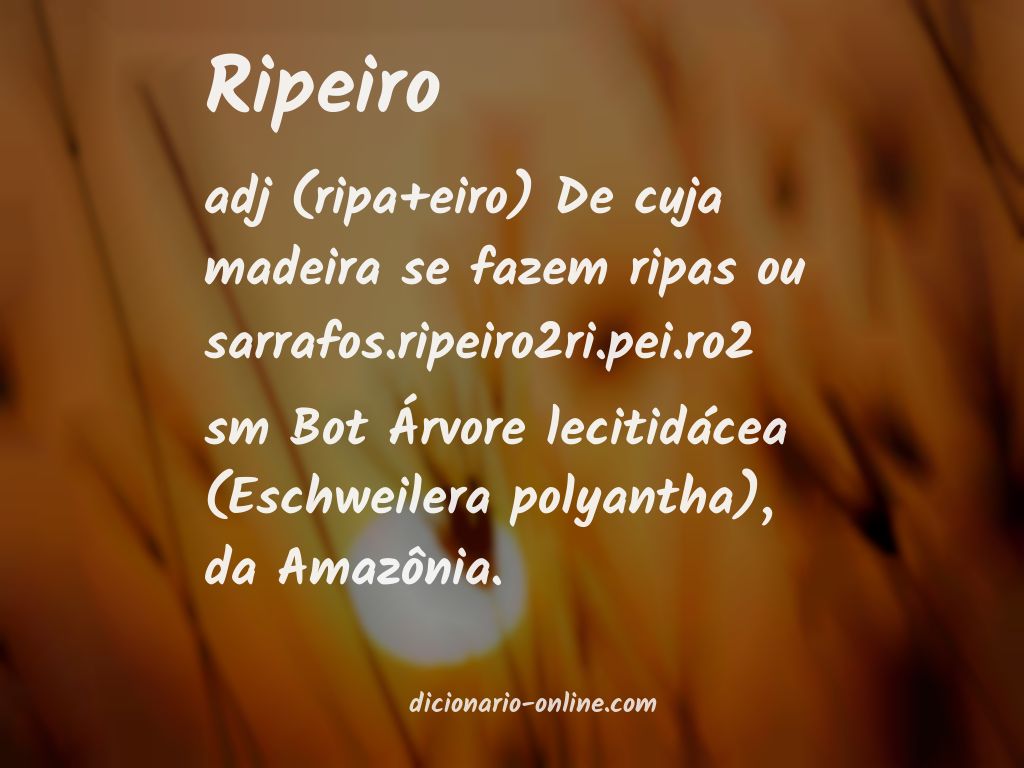 Significado de ripeiro