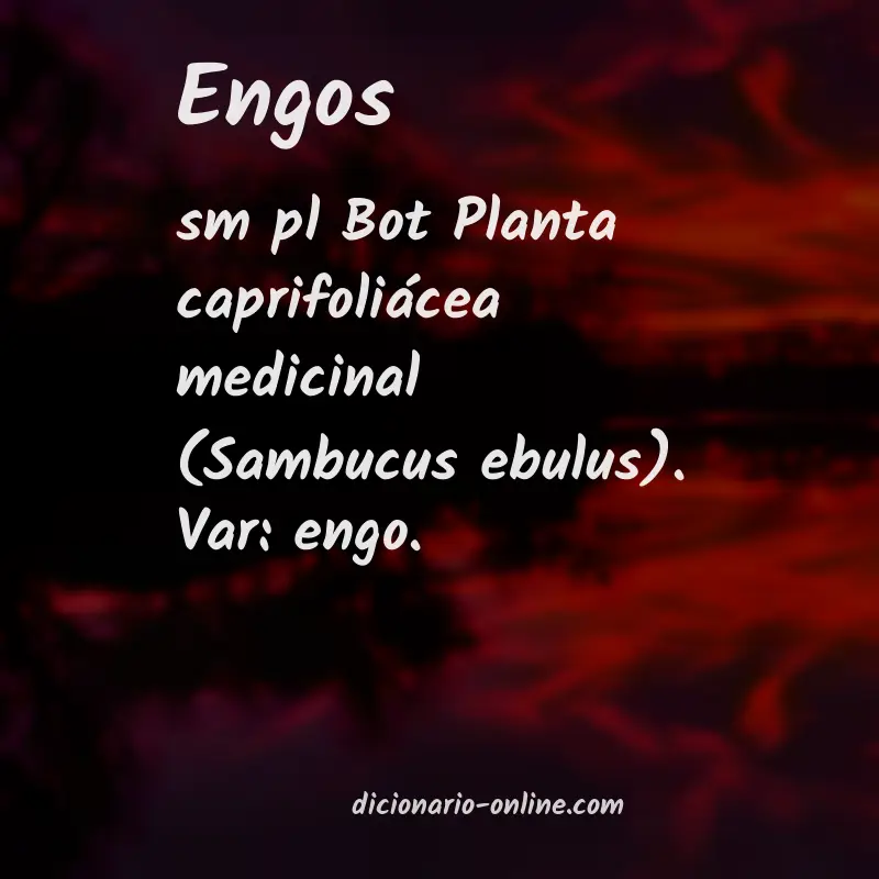 Significado de engos
