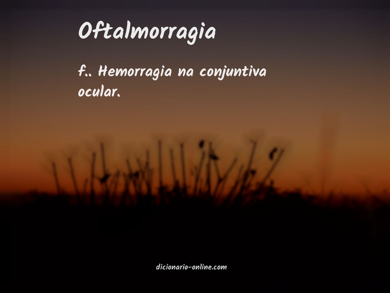 Significado de oftalmorragia