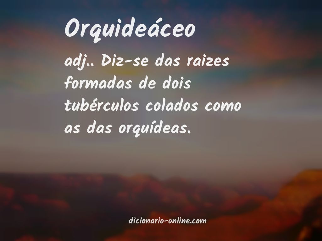 Significado de orquideáceo