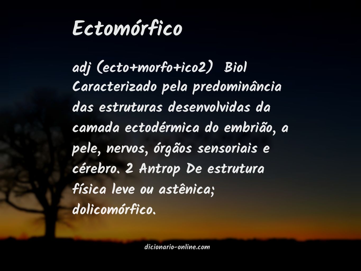 Significado de ectomórfico