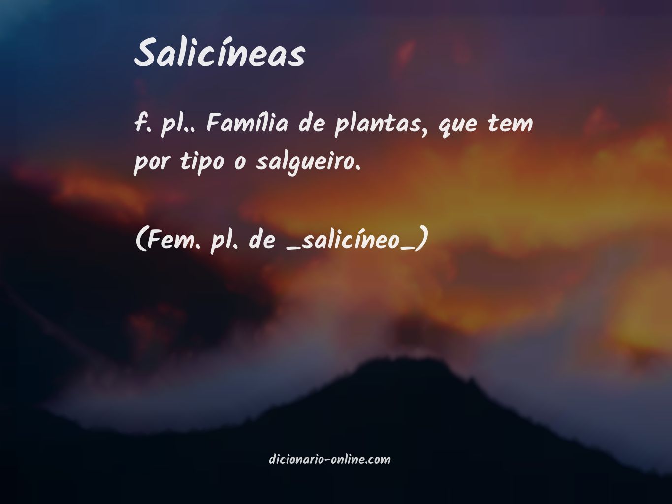 Significado de salicíneas