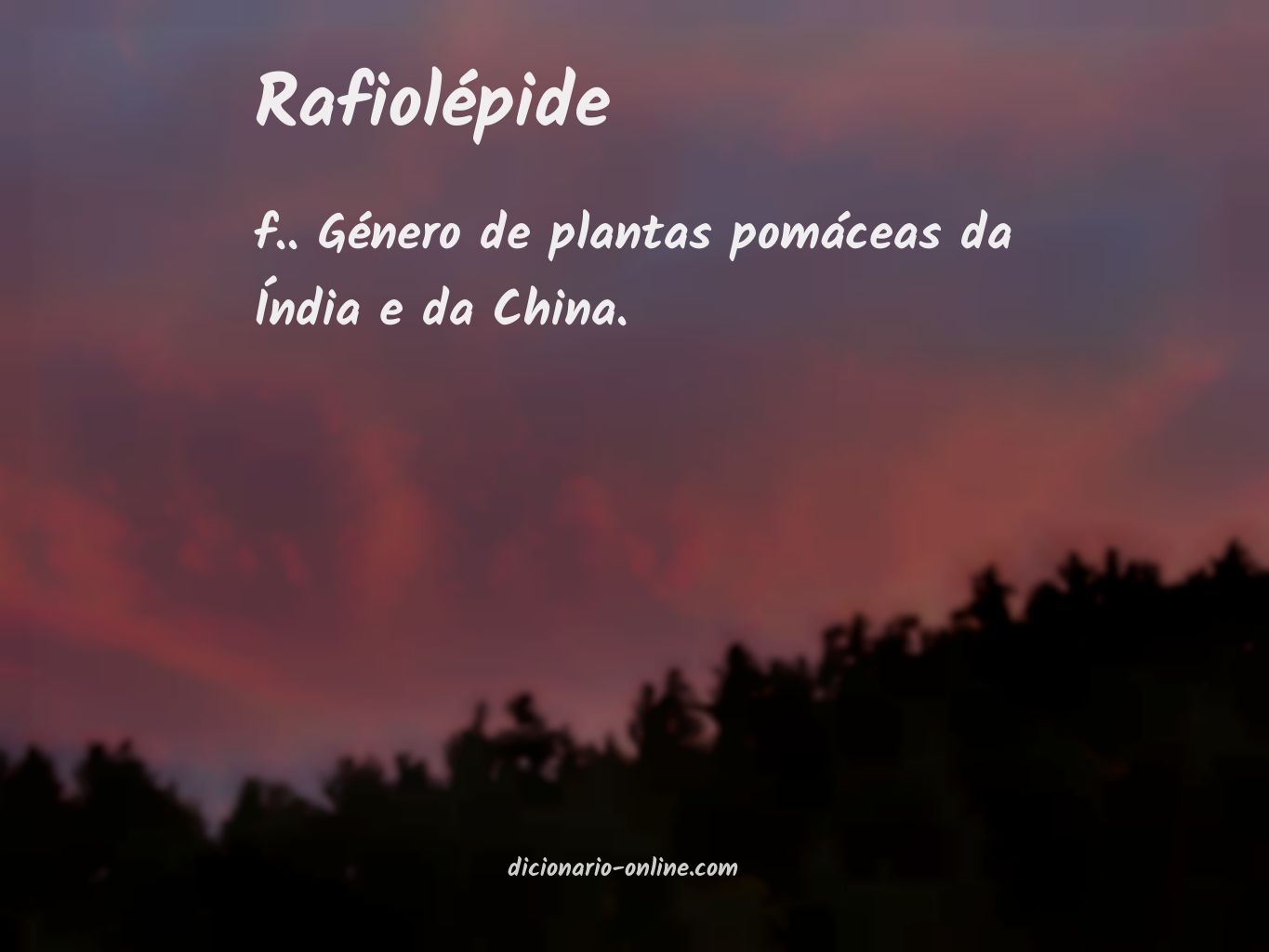 Significado de rafiolépide