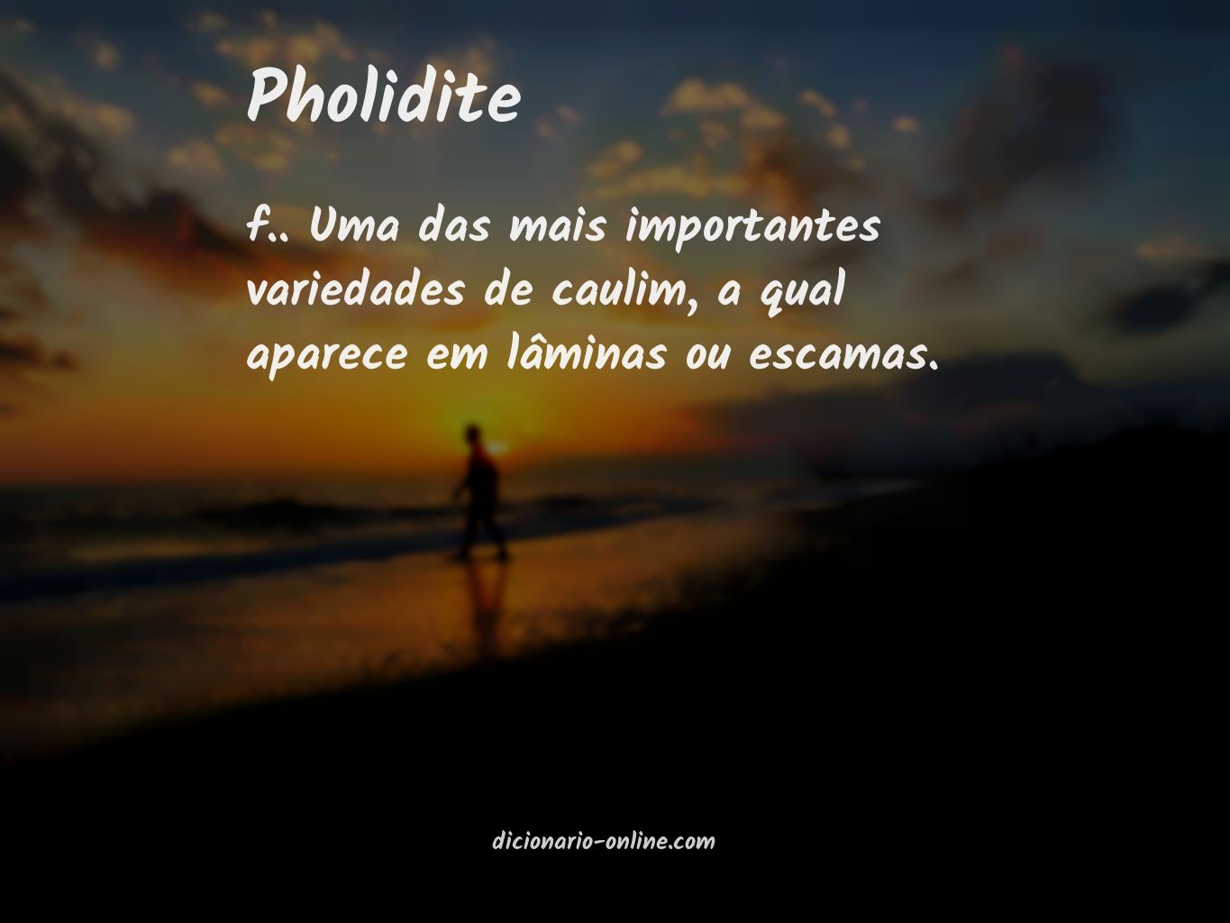 Significado de pholidite