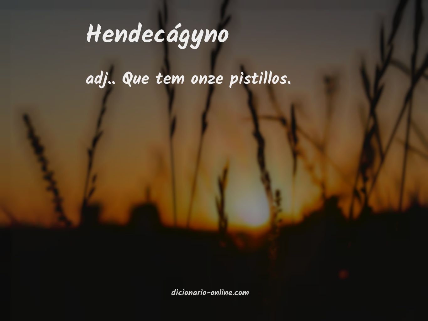 Significado de hendecágyno