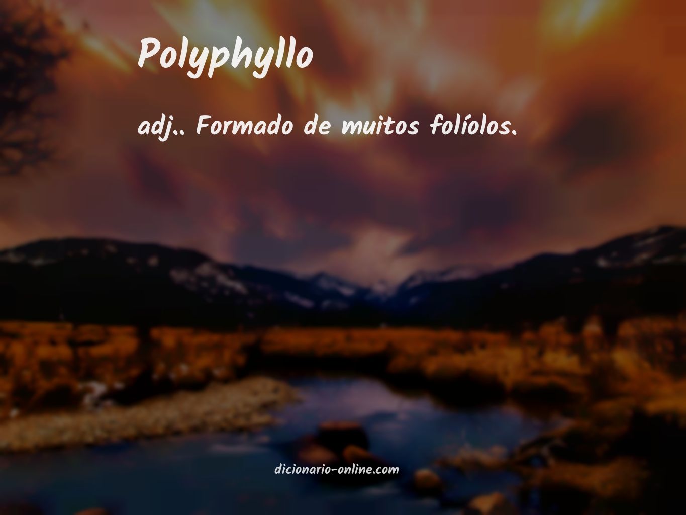 Significado de polyphyllo