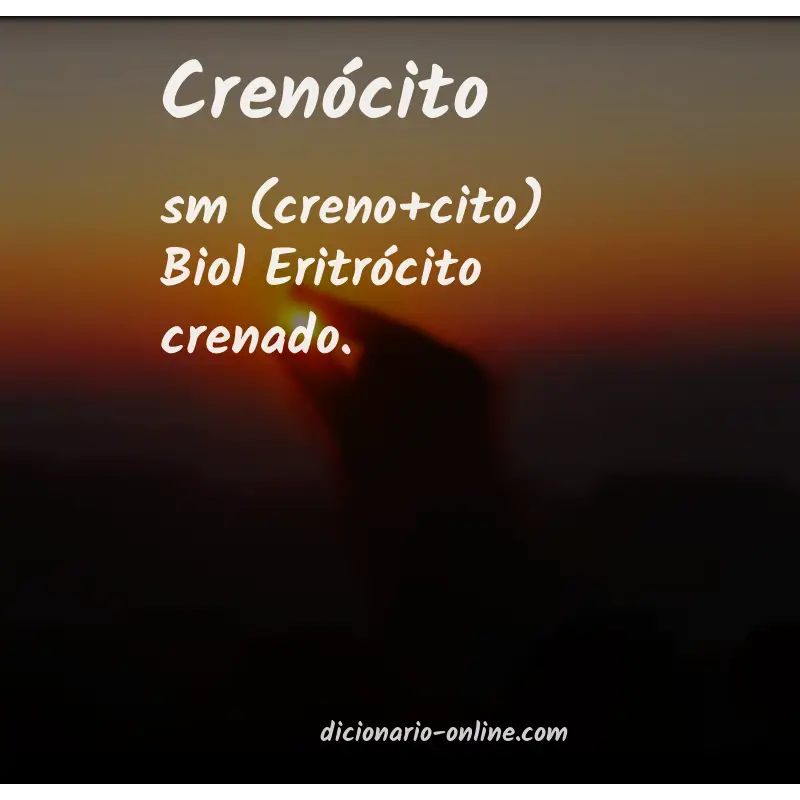 Significado de crenócito