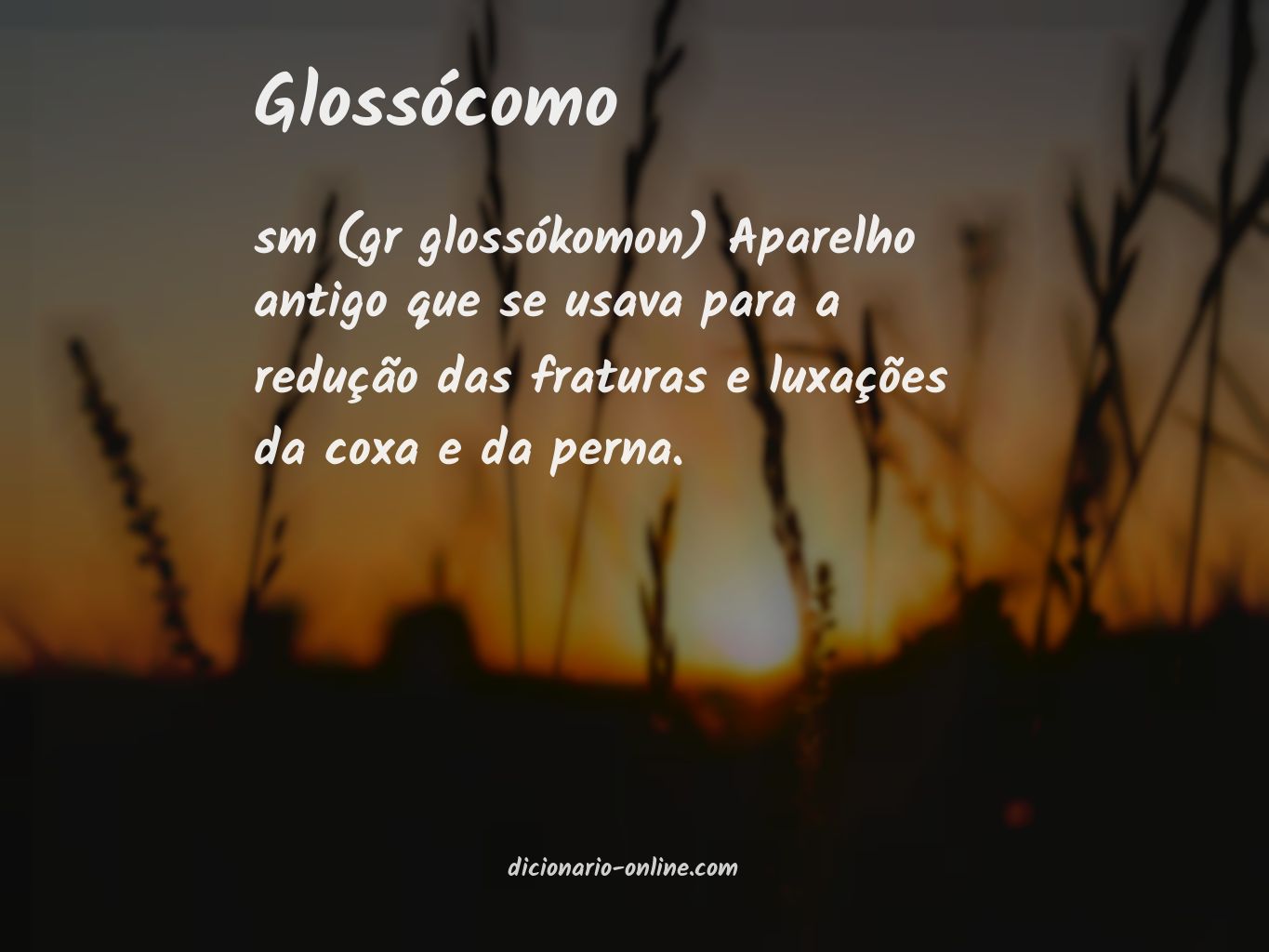 Significado de glossócomo
