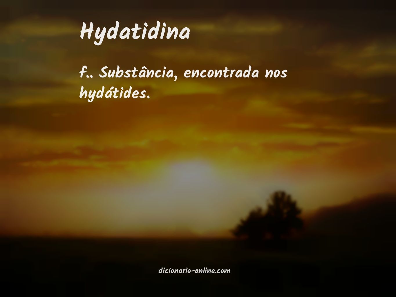 Significado de hydatidina