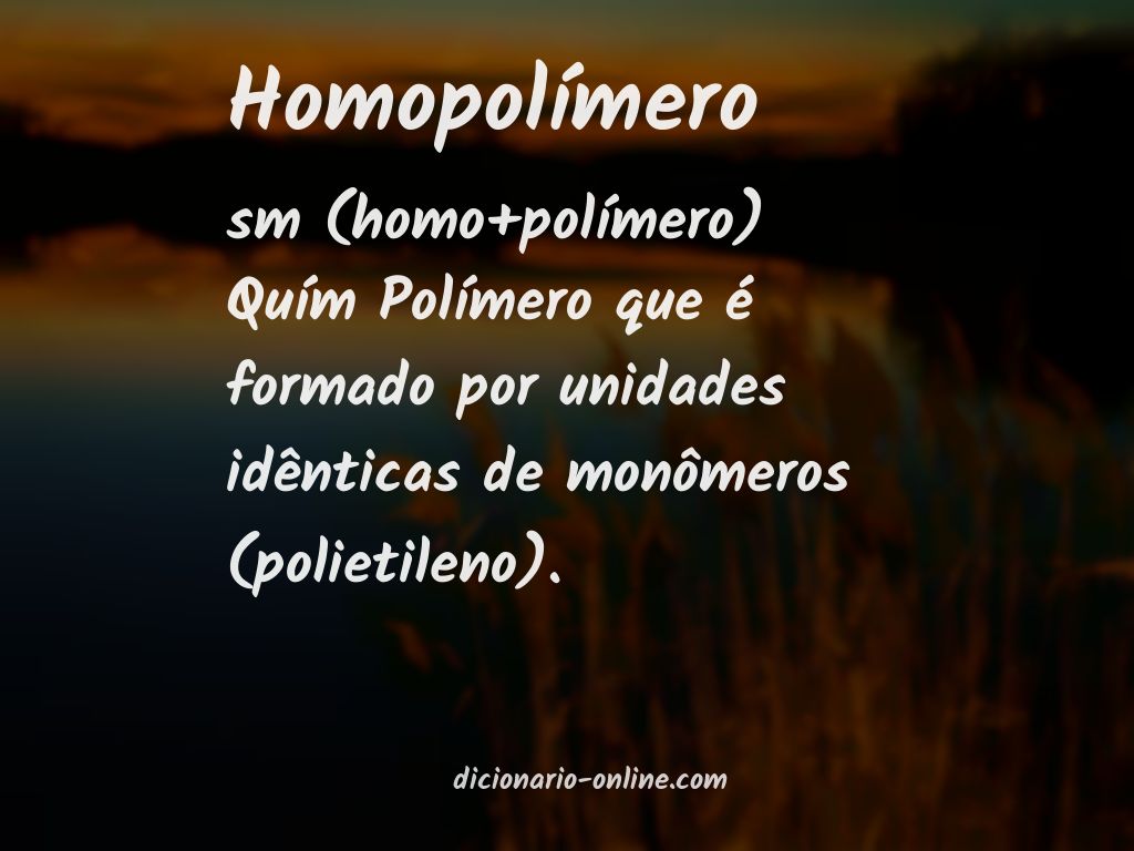 Significado de homopolímero