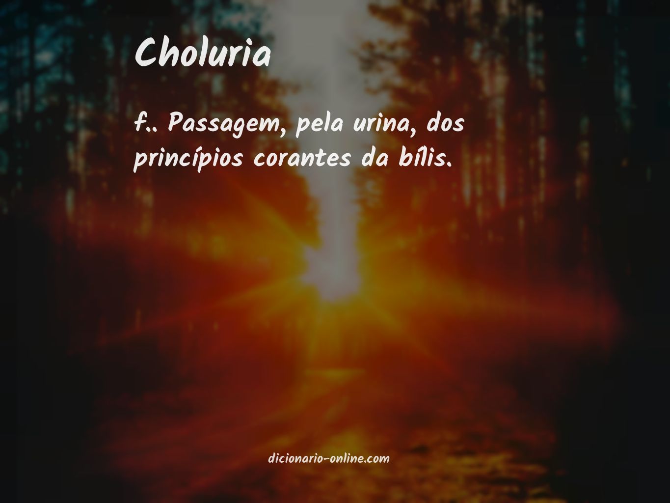 Significado de choluria