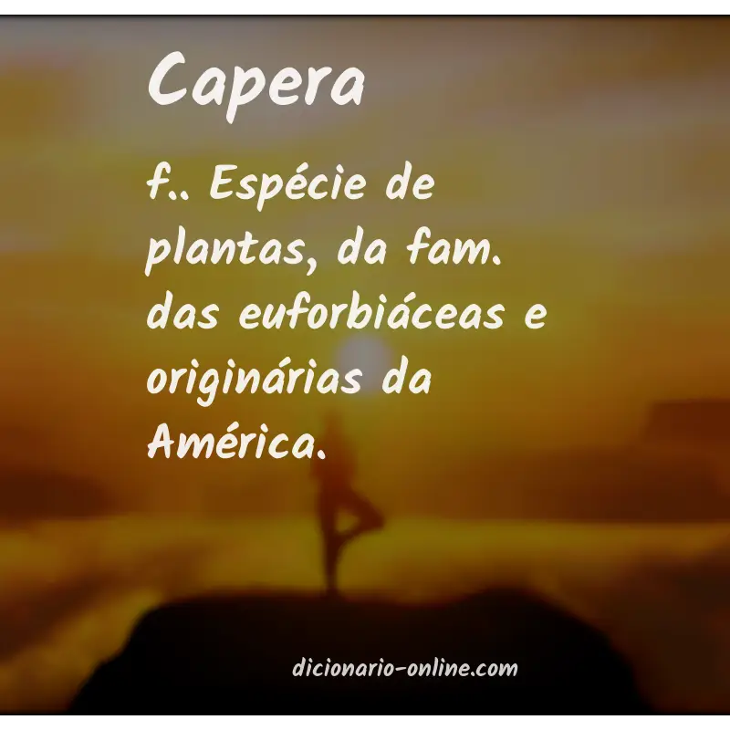 Significado de capera