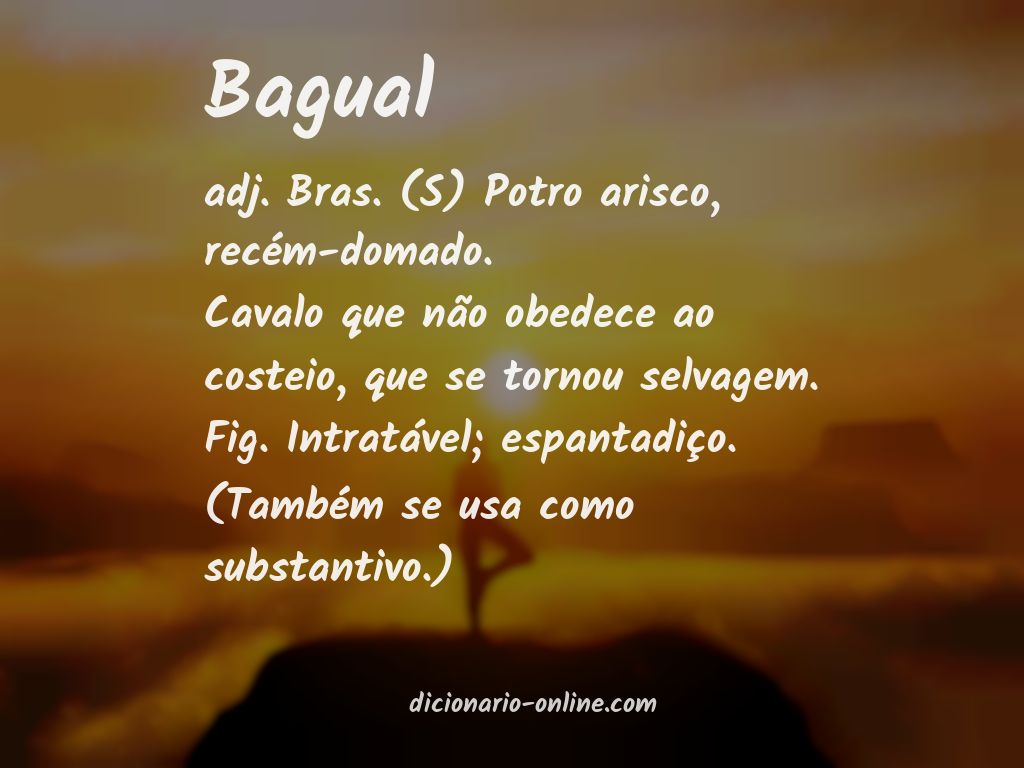 Significado de bagual