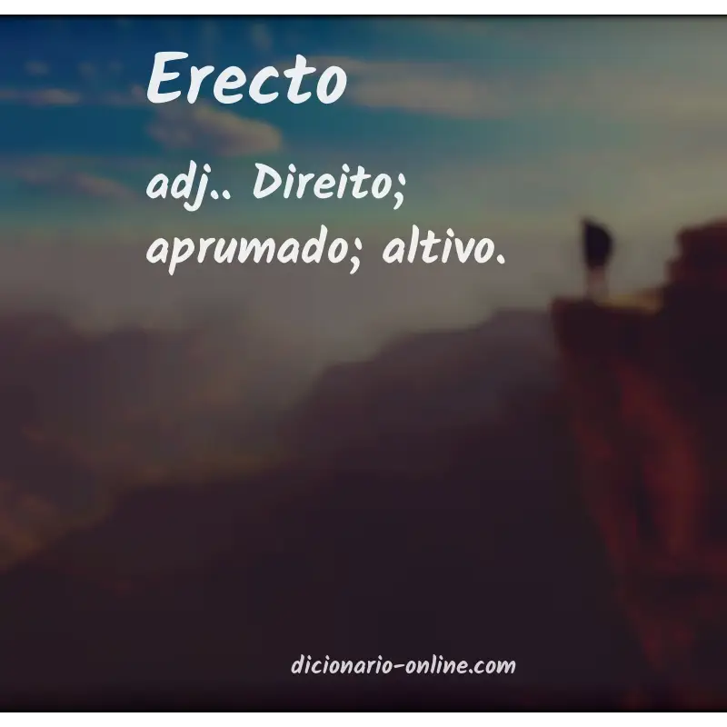 Significado de erecto