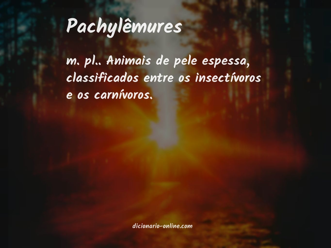 Significado de pachylêmures