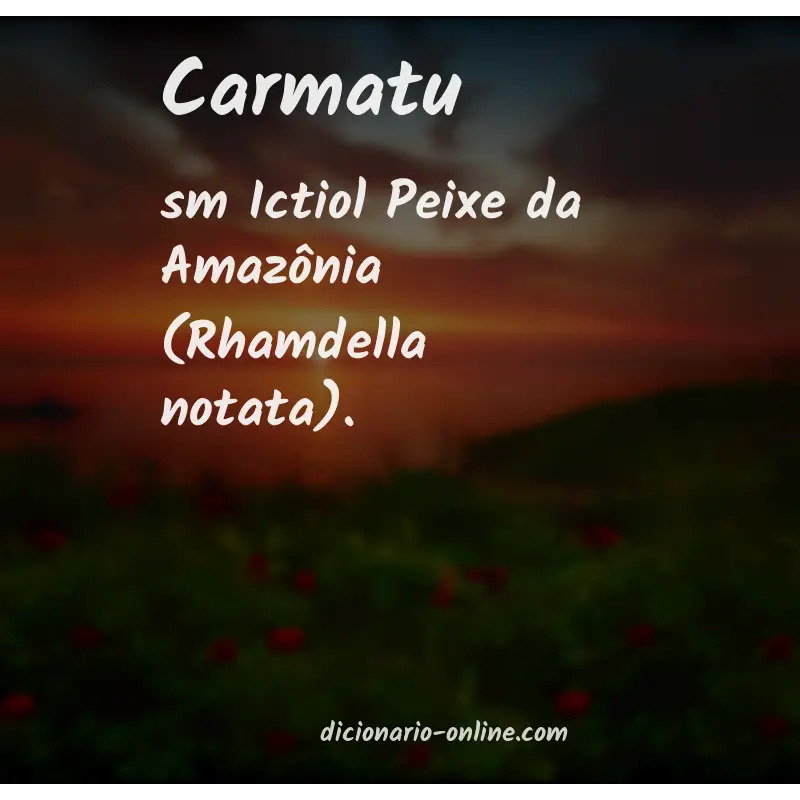 Significado de carmatu