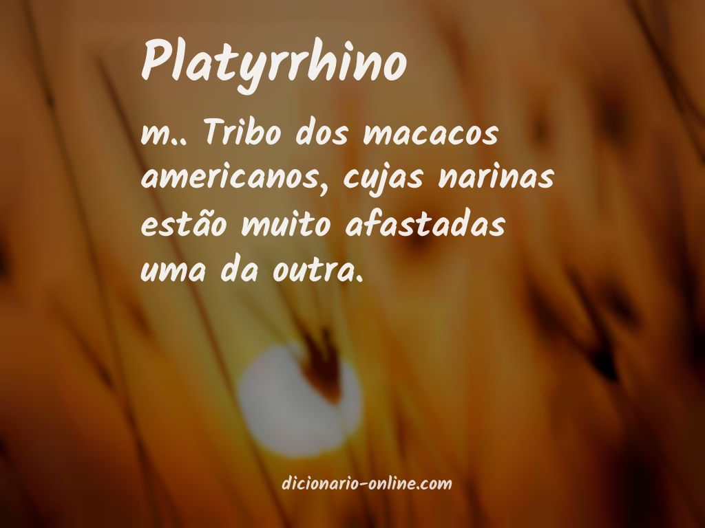 Significado de platyrrhino