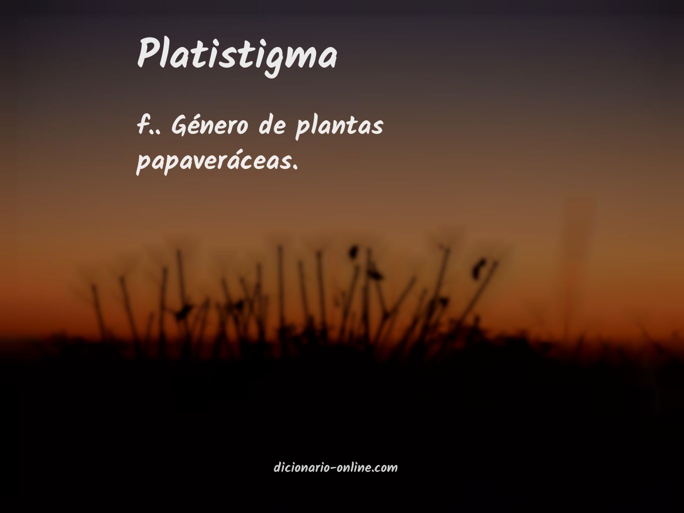 Significado de platistigma