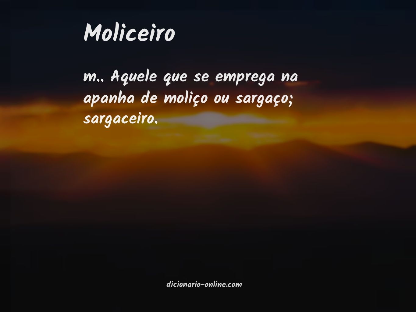 Significado de moliceiro