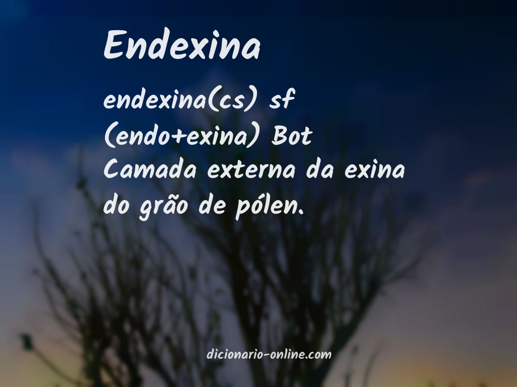 Significado de endexina