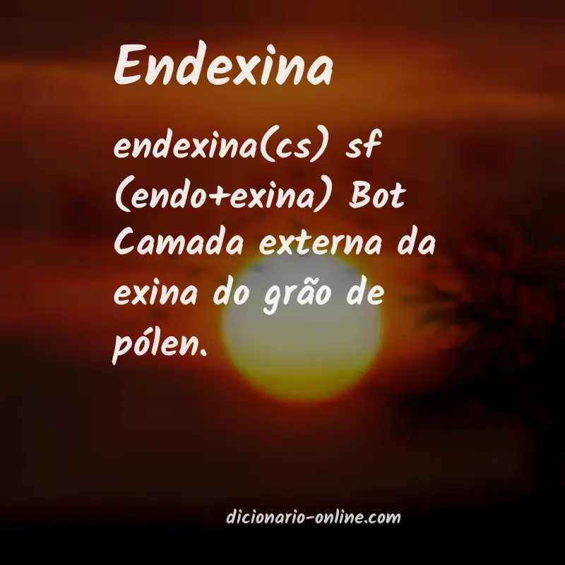 Significado de endexina