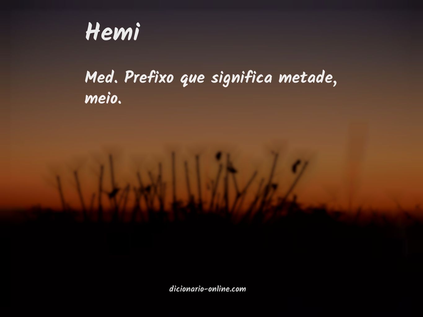 Significado de hemi