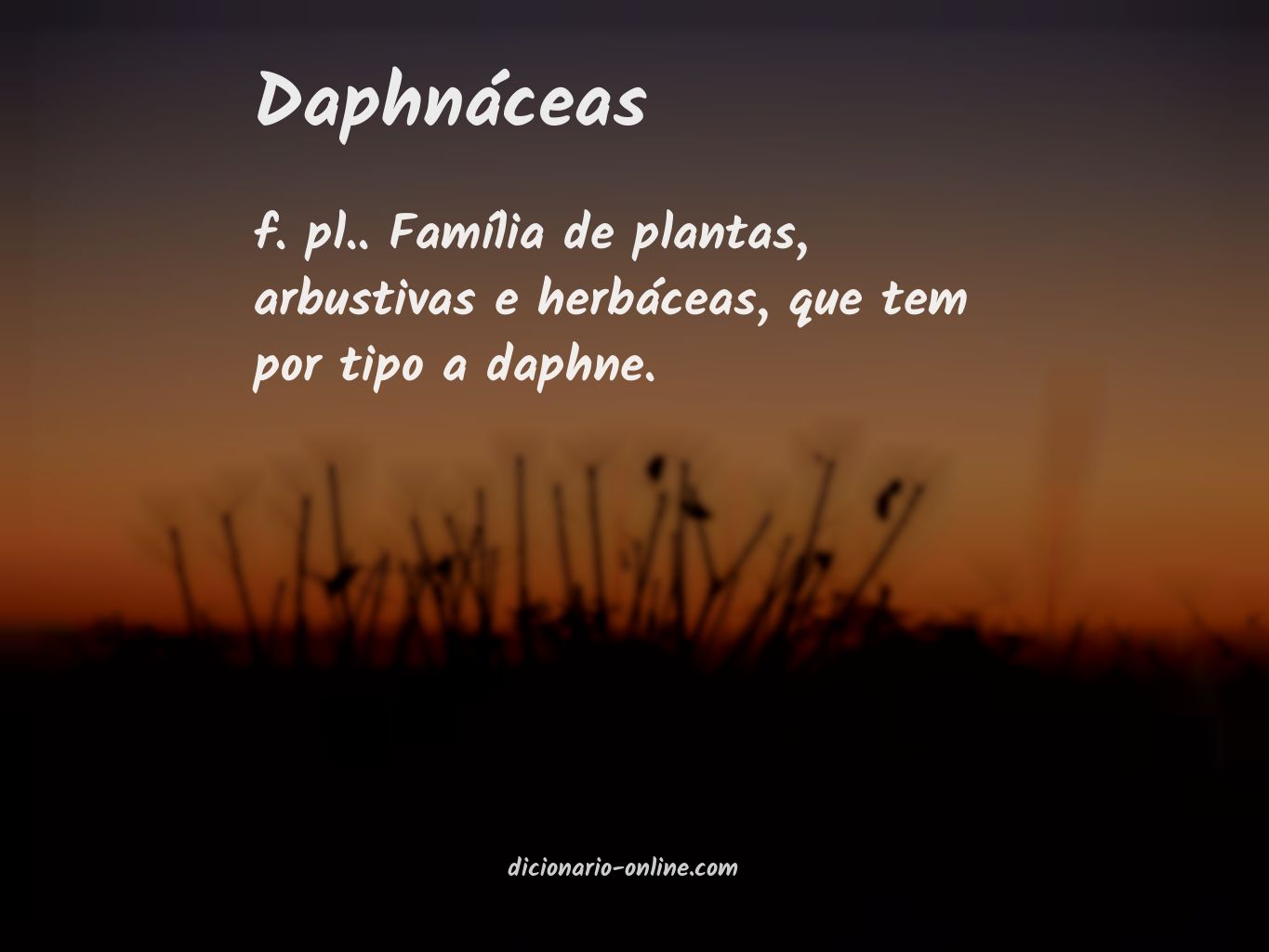 Significado de daphnáceas