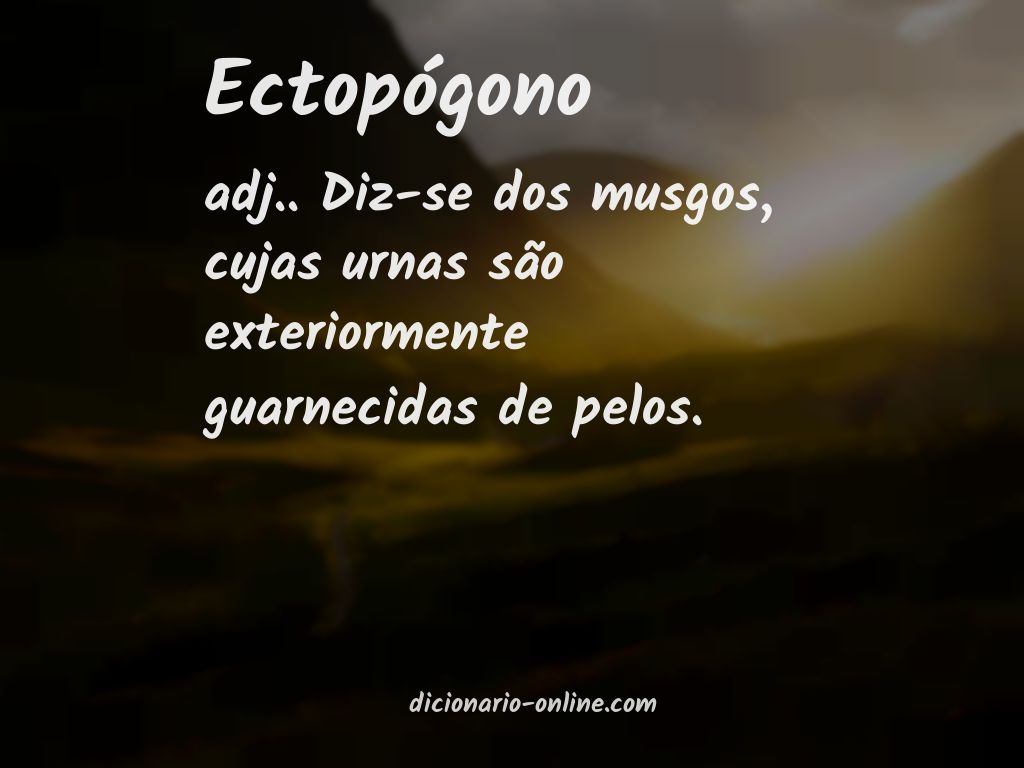 Significado de ectopógono