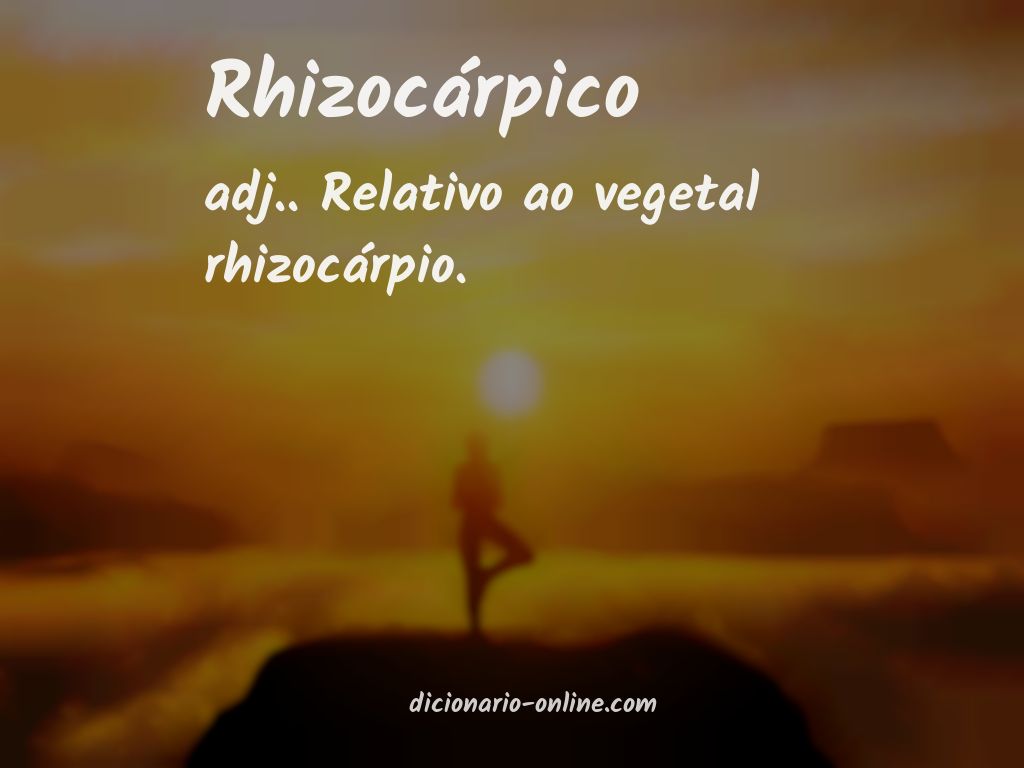 Significado de rhizocárpico