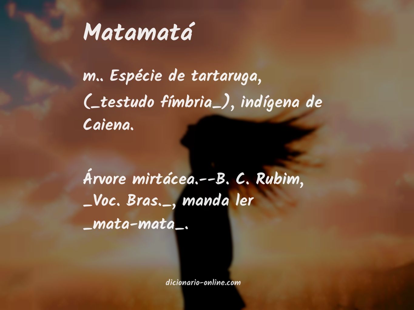 Significado de matamatá