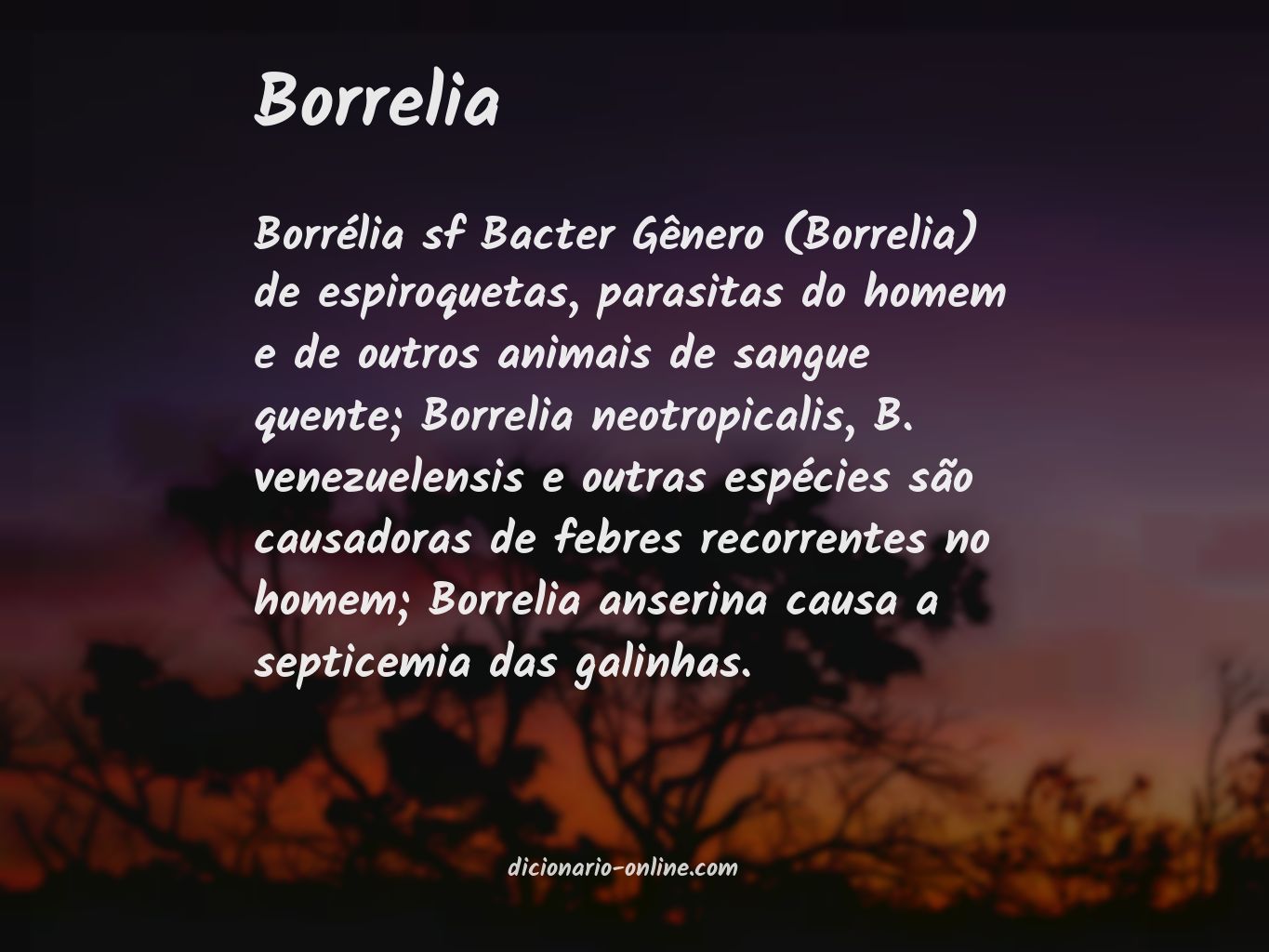 Significado de borrelia