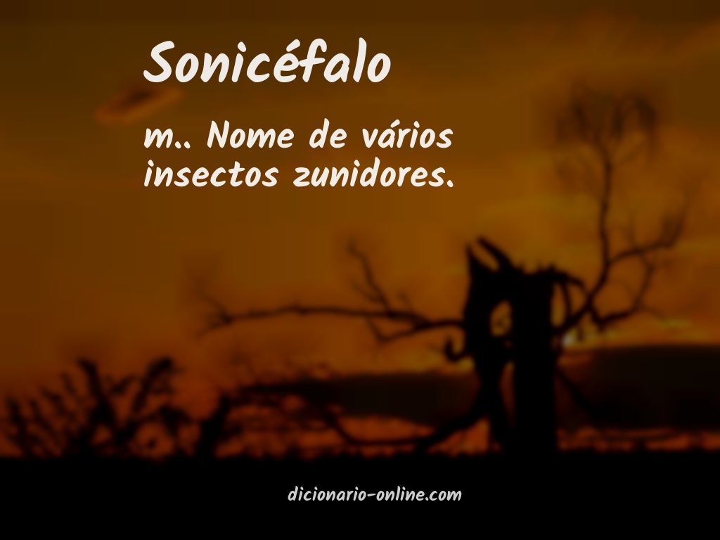 Significado de sonicéfalo