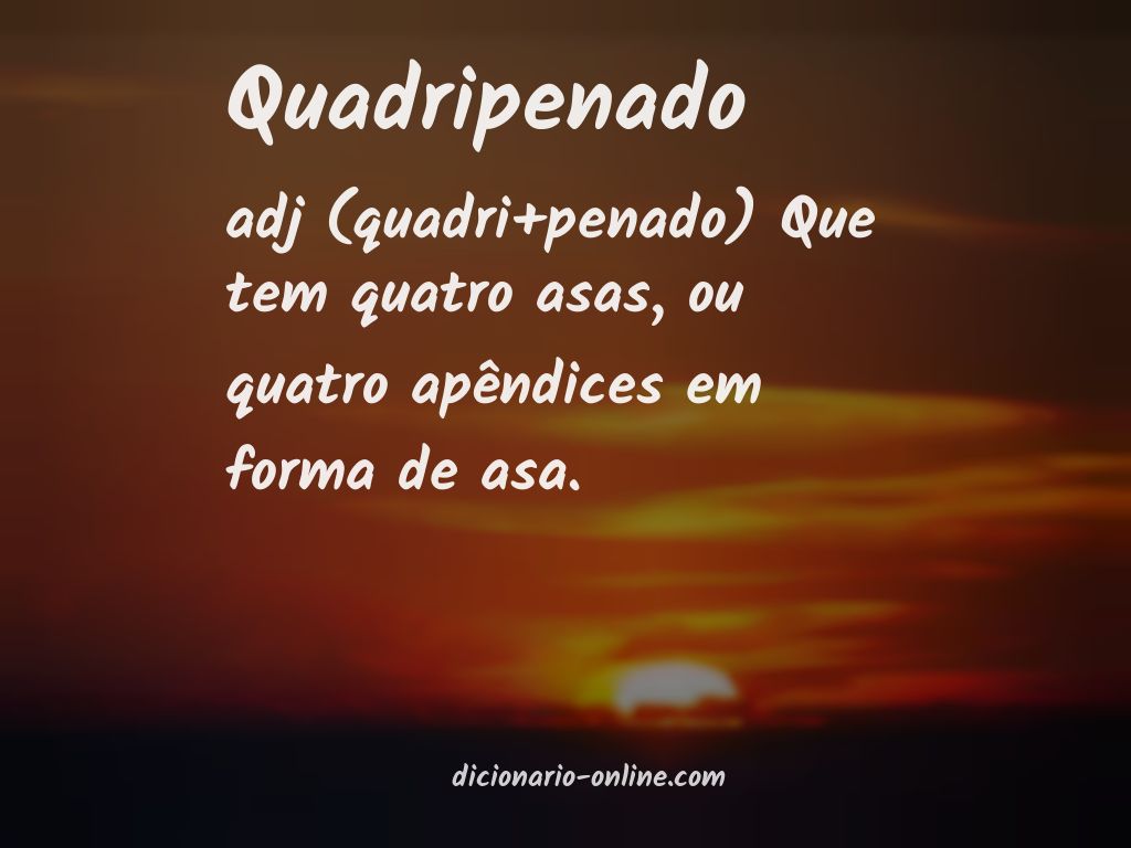 Significado de quadripenado