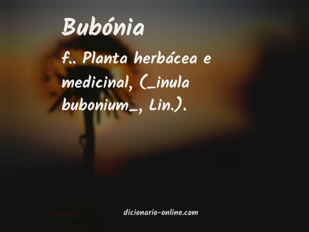 Significado de bubónia