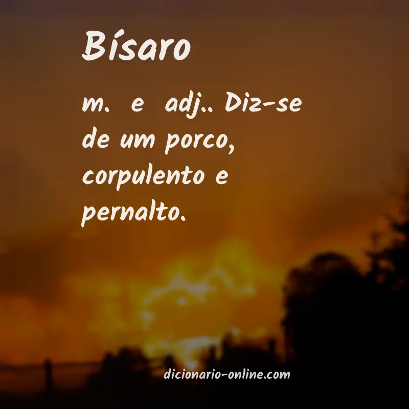 Significado de bísaro