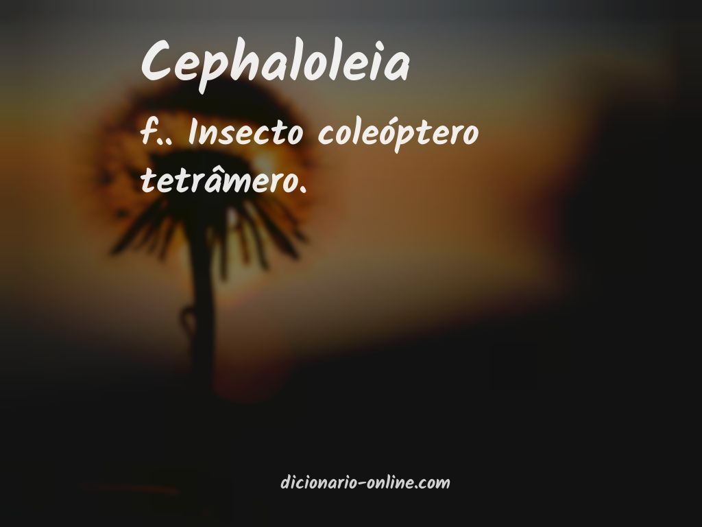 Significado de cephaloleia