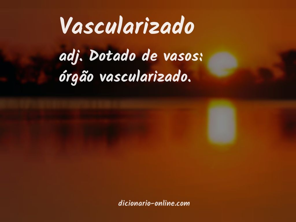 Significado de vascularizado