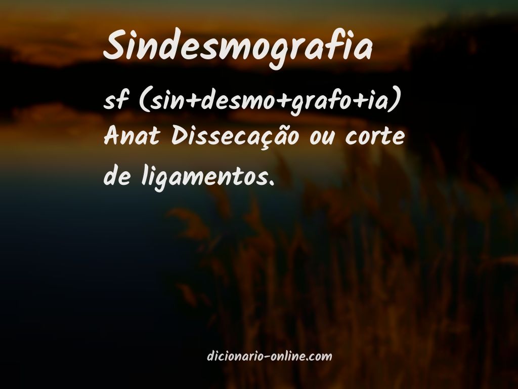 Significado de sindesmografia