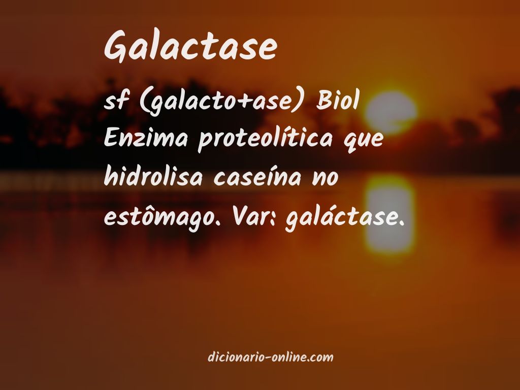 Significado de galactase