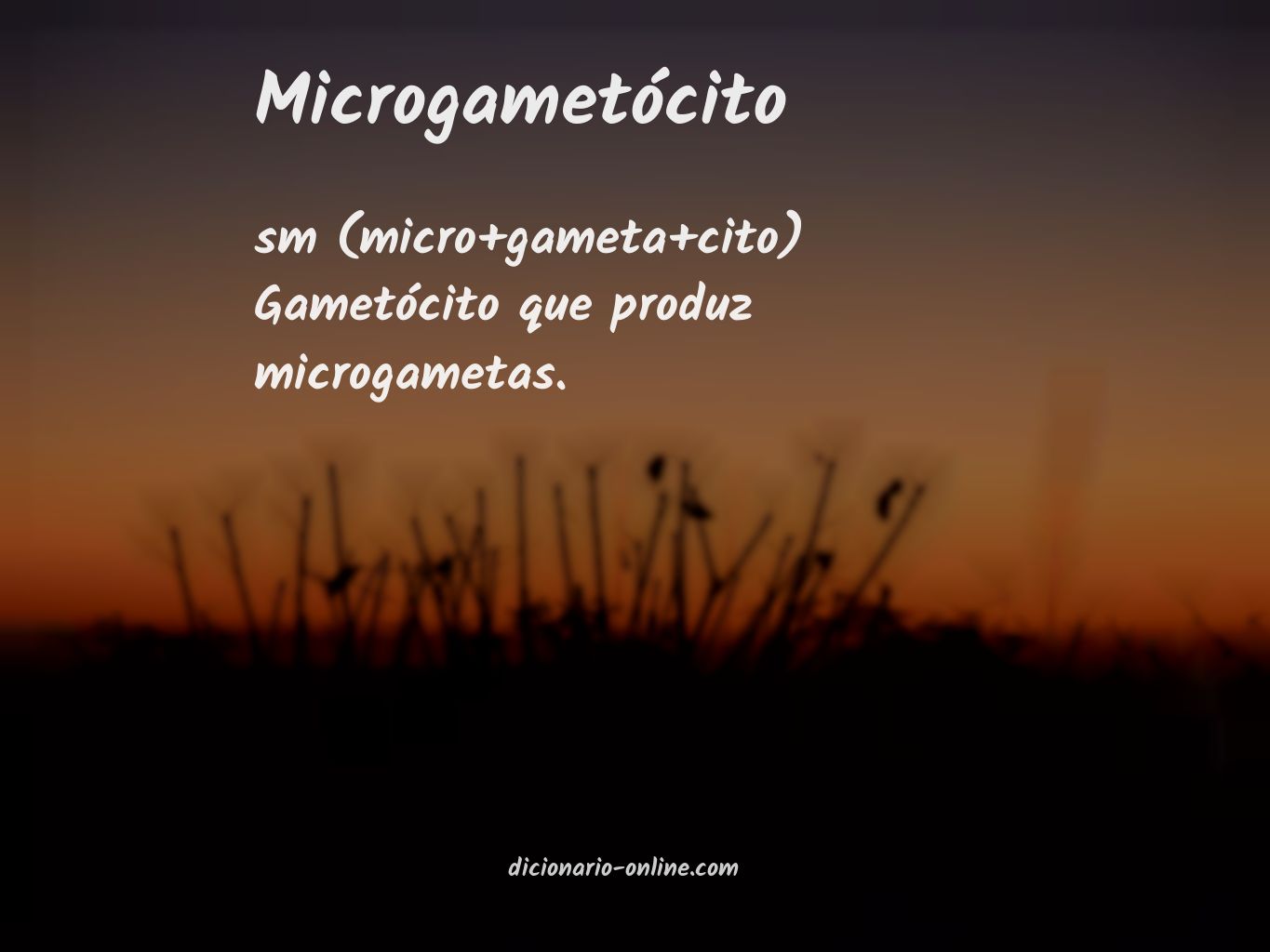 Significado de microgametócito