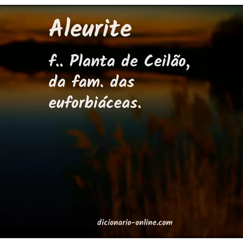 Significado de aleurite