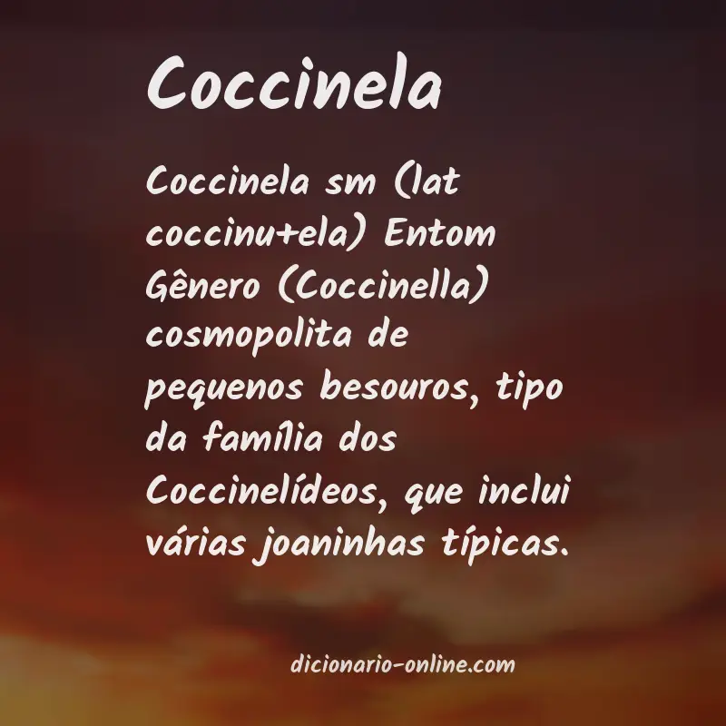 Significado de coccinela